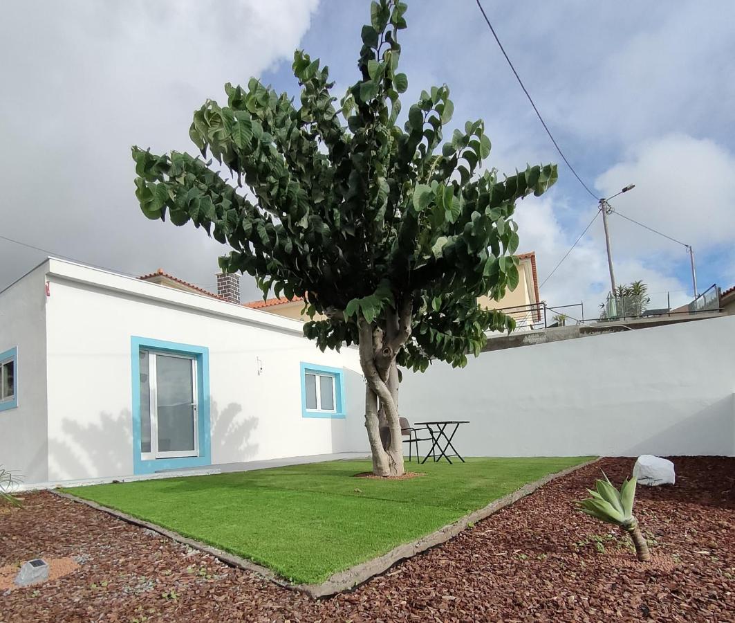 Villa Madeira Blue House Calheta  Esterno foto